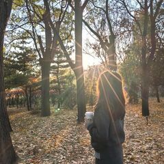 友達募集です