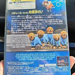 DVD　スペースバディーズの画像