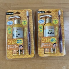 リーチポンピング歯磨&リーチペンブラシ