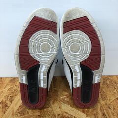 【A304】エアジョーダン2 レトロ DX2454-106 29.0cmの画像