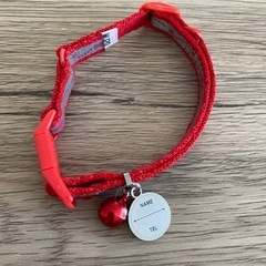 猫ちゃん 首輪の画像