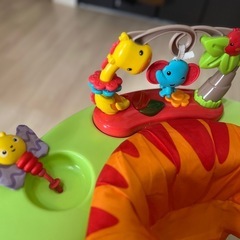 ジャンパルー　　レインフォレストジャンパルーIIの画像