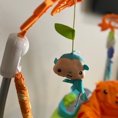 ジャンパルー　　レインフォレストジャンパルーIIの画像