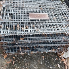 中古メッシュパレットの画像