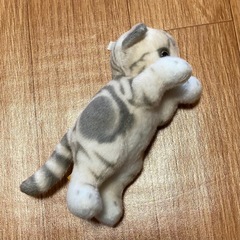 【新品・未使用】たっちいZoo ★　にゃんこ ぬいぐるみ　人気の画像