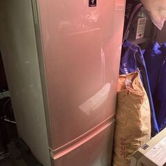 冷凍 冷蔵庫 シャープ SHARP SJ-PD17X-N プラズ...
