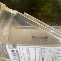 スドー【サテライトL】隔離水槽の画像