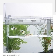 スドー【サテライトL】隔離水槽の画像