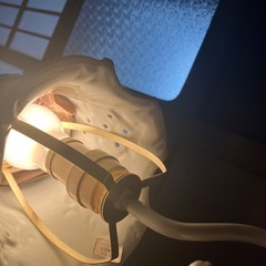 照明　ライト
の画像