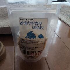 ヤドカリ飼育セットの画像