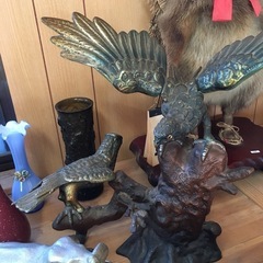 たぬき剥製の画像