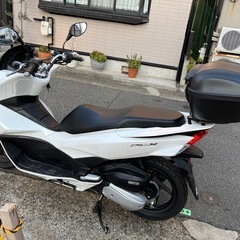 【HONDA PCX125】 JF56 人気車両　絶好調 小型　原付2種の画像