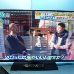 N395　Panasonic　43V型　ダブルチューナー内蔵　液...