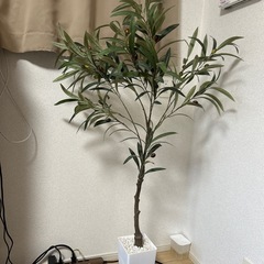オリーブの造花
