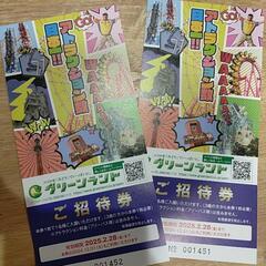 グリーンランド入場券2枚