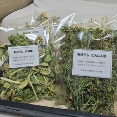 乾燥にんじん葉
