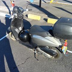 原付バイク AF67 トゥディの画像