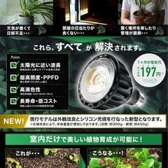 【半額セール中】LEDライトの画像