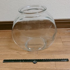 【相談中】ガラス金魚鉢20cm 太鼓鉢 観賞魚用