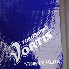 TOKUSHIMA VORTIS レジャーシート 徳島ヴォルティス 青の画像