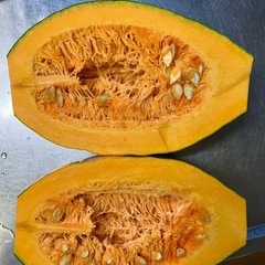 万次郎かぼちゃ　3個　かぼちゃ　カボチャ　南瓜 2501091 　の画像
