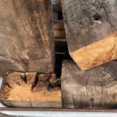 どんぐりの木の枝　廃材　小枝　葉っぱ付き　葉っぱの画像