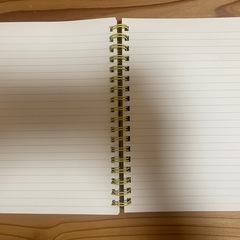 ミスバニー リングノートの画像