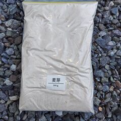 麦芽パウダー300ｇ　１袋！の画像