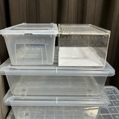レプタイルボックスの画像
