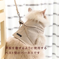 猫　ハーネスの画像