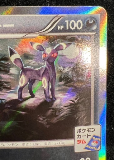 ポケモンカード　ブラッキー　ナイトバトル優勝プロモ　美品