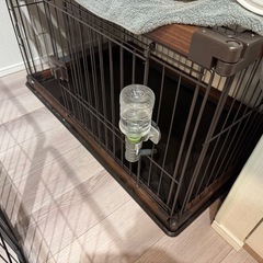 犬小屋
