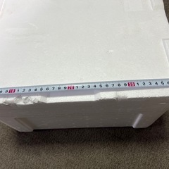 発砲スチロール①の画像