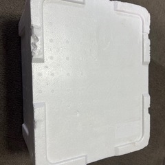 発砲スチロール①