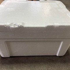 発砲スチロール①の画像