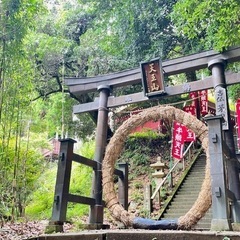 🎋竹寺〜👣子の権現 ピストン