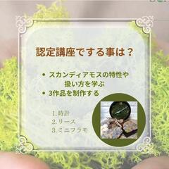 スカンディアモスアートⓇ認定講座レッスンの画像