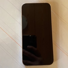 iPhone13PRO