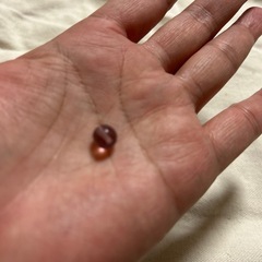 手芸/ハンドメイド
ビーズの画像