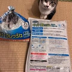 猫砂　固まる紙の砂　7L 1袋＋半分の画像