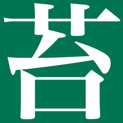 【アパート・マンション・会社・民家の通路のコケ処理いたします】 - 各務原市