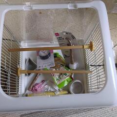 ★鳥かご★の画像