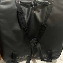 ミット 大きいタイプの画像