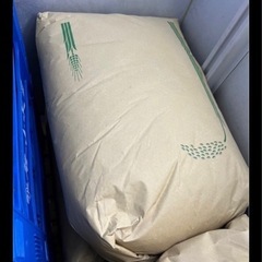 京都産 キヌヒカリ 30kg 
