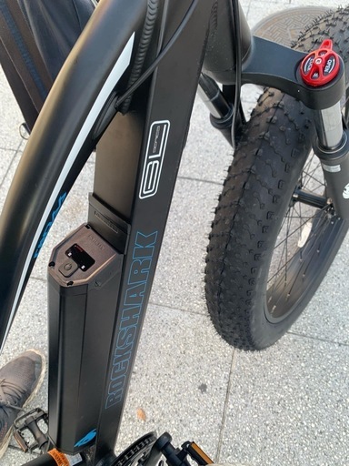 大型アシスト自転車