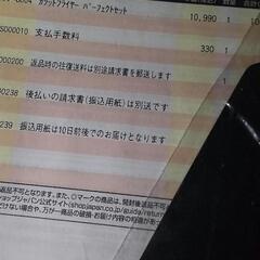 ショップジャパン購入　電機フライヤーの画像