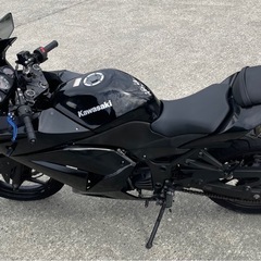今月限定　ninja250r カスタム