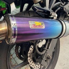 今月限定　ninja250r カスタムの画像