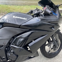 今月限定　ninja250r カスタムの画像