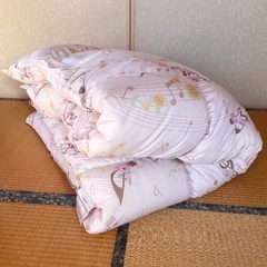 ロマンス小杉 ジュニア羽毛布団 子供用 掛け布団の画像